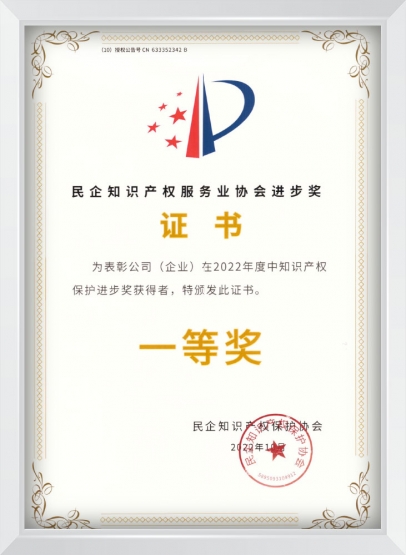 民企知识产权服务业协会进步奖证书一等奖